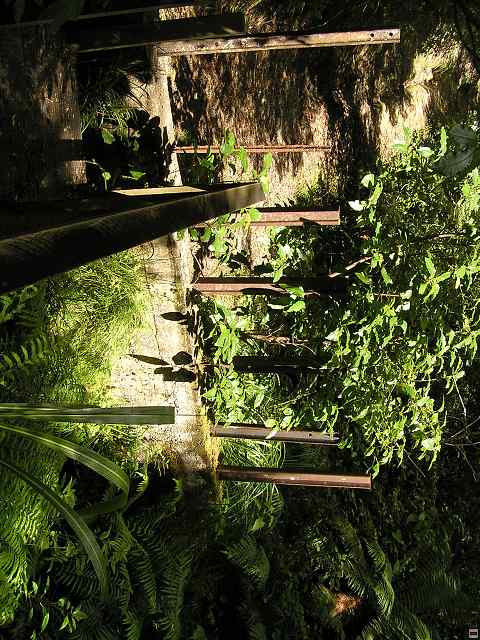 NZ leden-unor 2006 156.jpg